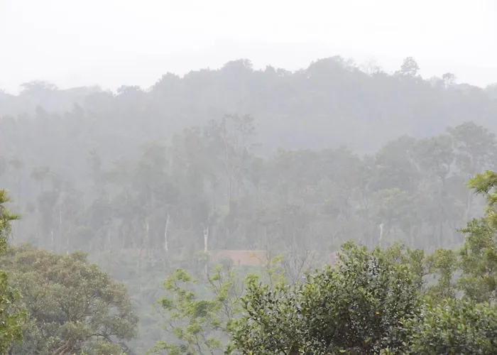 Ibbanicadu Estate Homestay