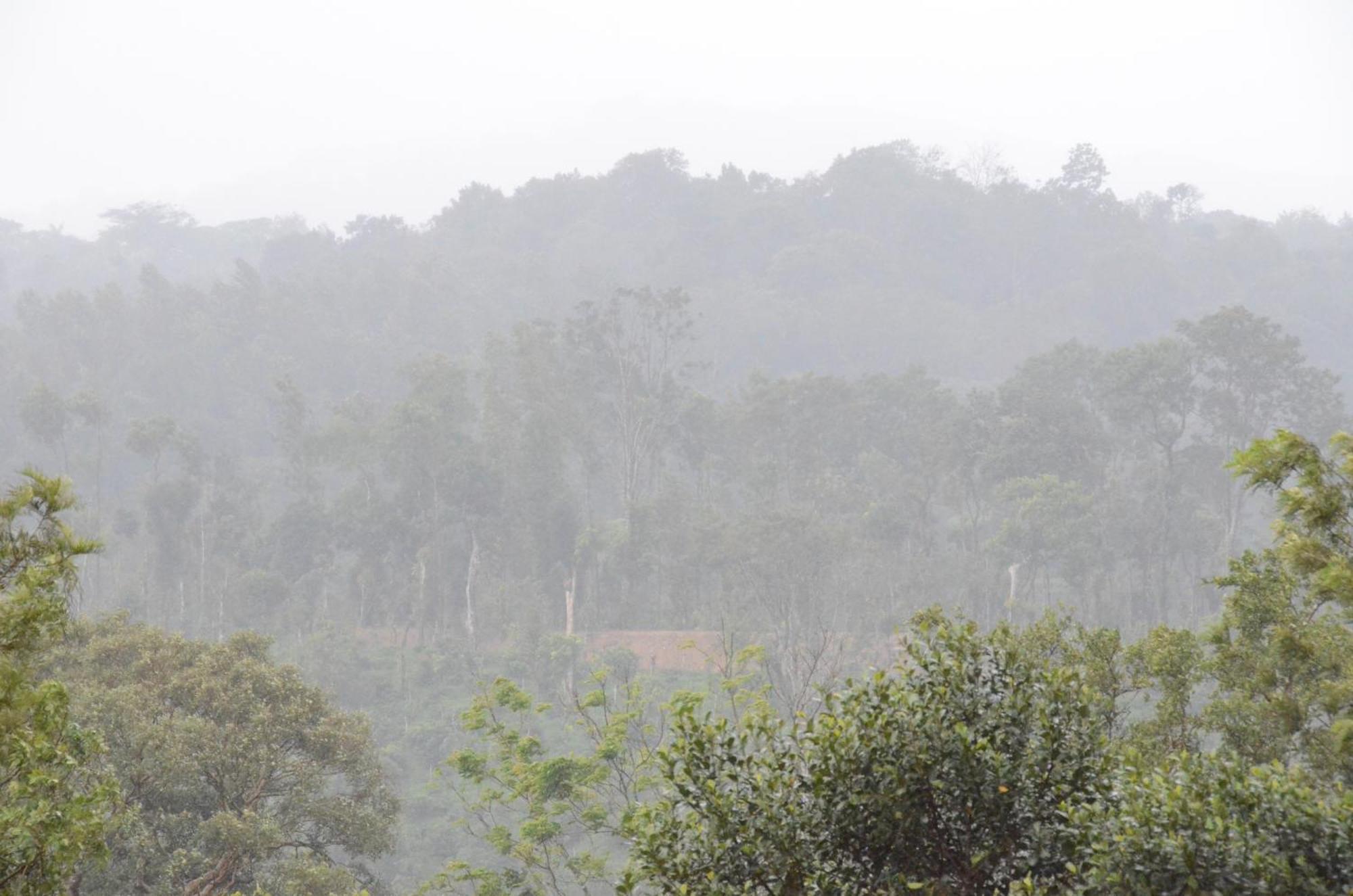 Ibbanicadu Estate Homestay *