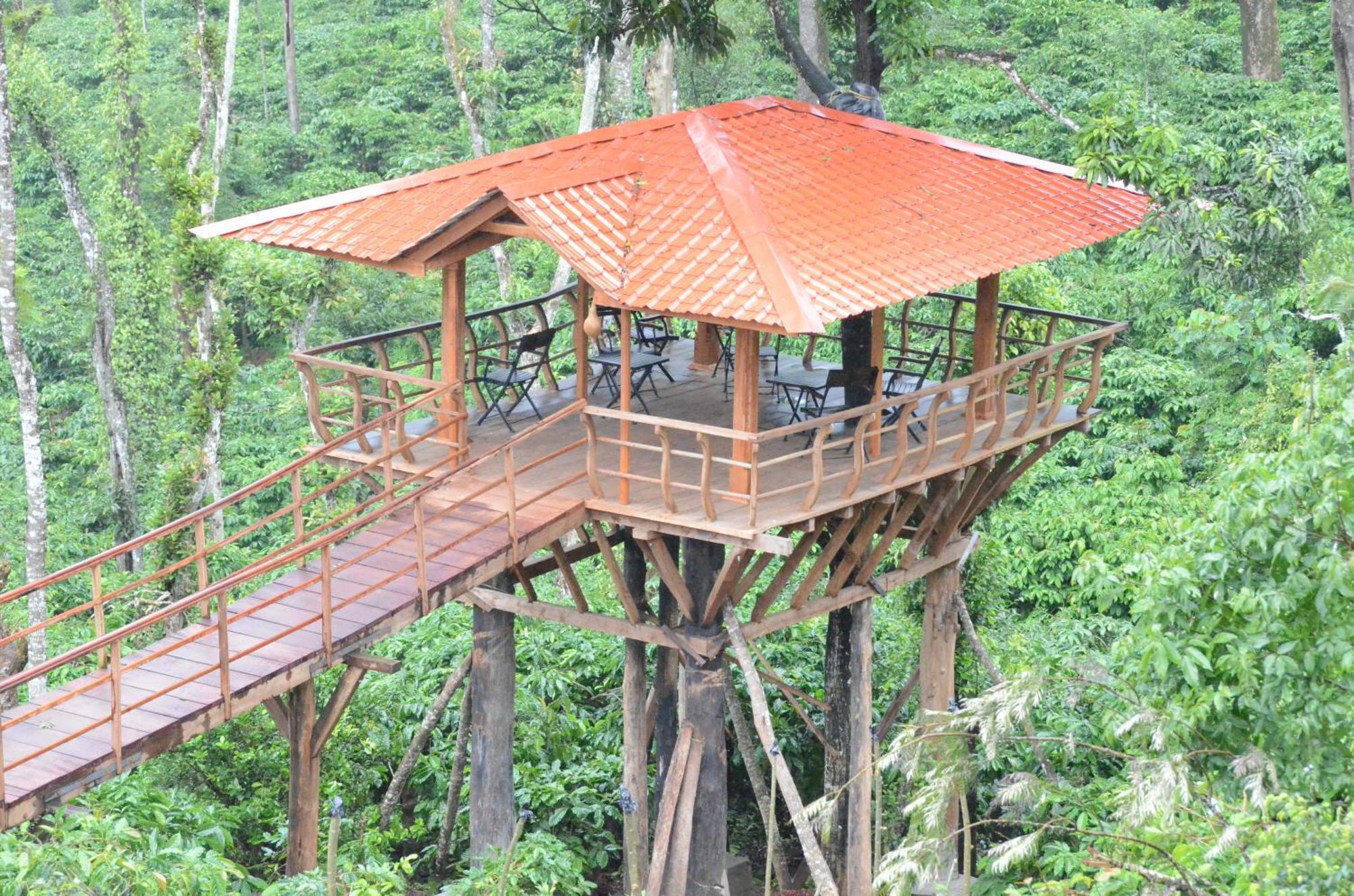 Homestay Ibbanicadu Estate *